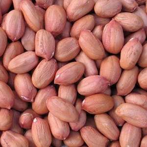 2026 Fast Delivery Available Whole Sale Organic <b>Peanut</b> Dried Kernel <b>Peanuts</b> Groundnut Raw Fresh Red Skin on Discount In Stock - Product Image 6