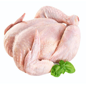 Pechuga de Pollo Halal Congelada Premium, Sin Hueso, Sin Piel, Carne de Aves de Corral Criadas en Granja, Procesamiento Higiénico, Calidad de Exportación Internacional - Product Image 2