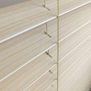 Persianas Enrollables Eléctricas Modernas Integradas para Puertas y Ventanas de Doble Acristalamiento con Control de Luz Opaca - Product Image 1