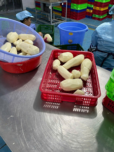 Bloque de Taro Picado Congelado IQF, Envasado al Vacío, Tubería de Taro de Primera Calidad para Fábricas de Alimentos y Uso Industrial - Product Image 5