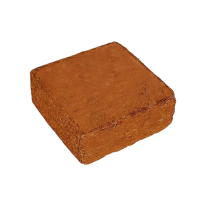 คุณภาพสูง EC ต่ำ 5 กก. ต่อบล็อก ตลาดเกาหลี ญี่ปุ่น สหภาพยุโรป 100% ผลิตในเวียดนาม เป็นมิตรกับสิ่งแวดล้อม เหมาะสำหรับการเพาะต้นกล้า - Product Image 1