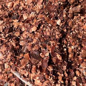 Cáscara de Anacardo/Testa de Anacardo/Piel de Anacardo/Polvo de Anacardo - KMI - Product Image 2