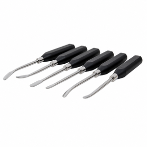 Herramientas Veterinarias de Precisión para Odontología Equina, Juego de 6 Elevadores de Incisivos en Acero Inoxidable, Equipo Dental Equino - Product Image 1