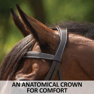 Brida para caballo de nuevo estilo, acolchada en cuero con correa para la nariz, servicio OEM disponible. - Product Image 3