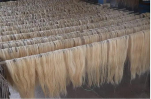 Poils de queue de vache noirs naturels, directement d'Inde, très demandés pour la fabrication de brosses, meilleur prix. - Product Image 6