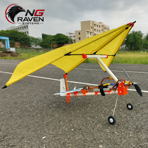 Avion RC à aile delta motorisé de 1,2 m de envergure, facile à piloter, stable, idéal pour les débutants, planeur parafoil - Product Image 1