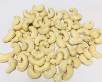 Échantillon Gratuit de Noix de Cajou Entières Blanches de Qualité Supérieure W320 W240 W210 W180, Prix Abordable, Snack Séché, Certifié Vietnam AFI, Marque Agrikim