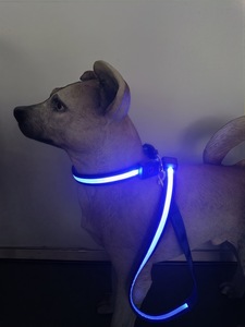 빛나는 개 목줄, 5피트 LED 개 목줄 충전식 애완견 목줄 야간 산책용 야광 개 목줄 - Product Image 4