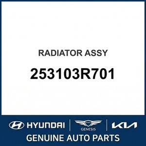 Radiadores Nuevos Grandeur/Azera 253103R701 - Product Image 1