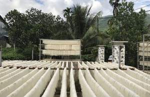 Nouilles de riz vermicelles pour la vente en gros, conditionnées en sacs de 250g et 500g - Max Nguyen Vilaconic - Product Image 4