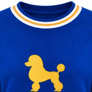 Pull-over bleu royal de la sororité Sigma Gamma Rho avec motif brodé doré, col et poignets côtelés blancs et dorés rayés - Product Image 2