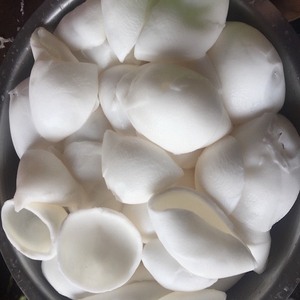 Viande de noix de coco congelée de qualité supérieure, issue de jeunes noix de coco fraîches, en forme de cube entier, de moitié ou en morceaux - Product Image 1