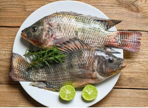 Pescado Congelado Entero Premium de 1 kg, Alta Calidad, Alto Valor Nutricional, 100% Natural, Envasado al Vacío VN-OEM - Product Image 6