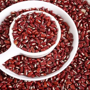 Wholesale Raw AD Dried Adzuki <b>Beans</b> (Red Mung <b>Bean</b>) Whole Red <b>Beans</b> Cooking <b>Baking</b> Sprouting Bulk Food Ingredients Herbs Spices - Product Image 4