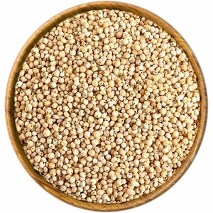 Semillas de Sorgo Blanco Secas de Alta Calidad Premium, Semillas de Sorgo Credence para Alimentación, Disponibles en Grandes Cantidades a Precios de Mayoreo - Product Image 5