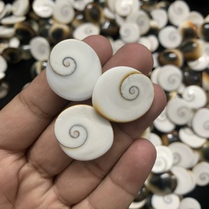 Cabochons en Coquille Œil de Shiva Naturelle de Qualité Supérieure, Coupe Ovale - Pierres Libres Certifiées IGI, Taille Unique, Collection en Gros pour la Fabrication de Bijoux - Product Image 1