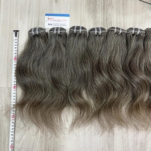 Paquete de Cabello Humano Natural Gris de Vietnam, Cabello Liso Tejido a Máquina de 14 Pulgadas, 100 Gramos - Product Image 1