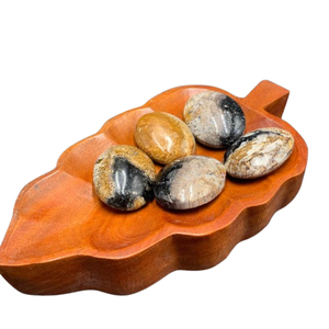 Pierre de palmier naturelle de qualité supérieure – Pierre de guérison polie à motif oculaire unique 45x35x15 mm - Product Image 2