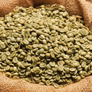 Export-Grade Green <b>Robusta</b> <b>Coffee</b> <b>Beans</b> from Vietnam | Bulk Supply | Natural Unroasted Seeds | OEM/ODM Service - Product Image 6