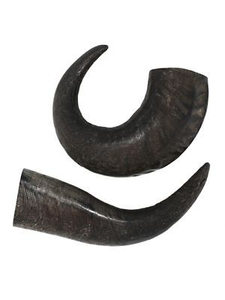 Juguete Masticable para Perros de Cuerno de Búfalo - Artesanía Ecológica Tallada a Mano para Perros, Arte y Coleccionable - Product Image 2