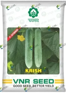 Semillas de Pepino de Primera Calidad para Agricultura, Alto Rendimiento, Resistentes a Enfermedades, Calidad de Exportación, Marca CRADLE LIFE, 12 Meses - Product Image 6