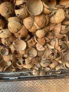 Cáscara de Coco Premium, Cortada a la Mitad y Triturada, Exportación a Granel de Vietnam para Carbón Activado, Biomasa y Combustible - Sra. Tarina - Product Image 5