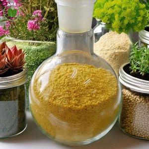 สินค้าขายดี คุณภาพพรีเมียมสูง สารสกัดสมุนไพรไทย MIT 80% ผงสกัดจากใบ  สารสกัดแบบใช้ตัวทำละลาย เกรดยา บรรจุภัณฑ์สุญญากาศ ปลูกจากพืชธรรมชาติ - Product Image 4