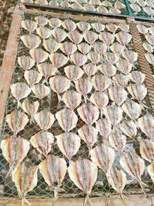 Poisson séché à rayures jaunes, poisson séché entier salé traditionnel, fruits de mer séchés du Vietnam, poisson séché à rayures jaunes, collation saine à base de fruits de mer - Product Image 2