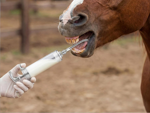 Cánula Veterinaria Reutilizable para Aves, Herramienta de Alimentación Oral por Gavage para Ratas, Ratones, Animales Pequeños y Uso en Laboratorio - Product Image 5