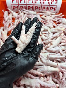 ขาไก่ปี 2026 / ตีนไก่แช่แข็งบราซิล / ปีกไก่สดและขาไก่พร้อมส่งออก ราคาดีที่สุดในสต็อก ราคาถูก - Product Image 5