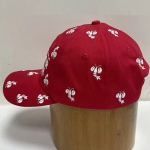 Casquette de baseball brodée rouge en sergé 100 % coton, 6 panneaux structurés, avec fermeture snapback, idéale pour le sport, les voyages et les activités de plein air - Product Image 6