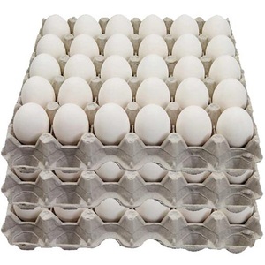 ไข่ไก่สดสีขาว ไข่ไก่สำหรับรับประทาน บรรจุกล่อง 30 ฟอง - Product Image 1