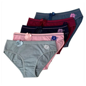 Braguitas de Algodón con Encaje Premium para Mujer, Ropa Interior Sexy Transpirable, Braguita de Bikini Tejida, Logotipo Personalizado, Cintura Alta, Lencería Diaria - Product Image 2