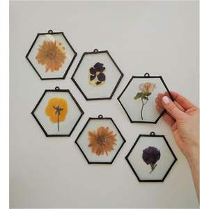 Cadre photo mural en laiton doré avec verre flottant et fleurs pressées, double verre, pour décoration murale et présentation de spécimens - Product Image 5