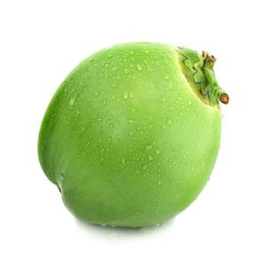 Noix de coco vertes jeunes de haute qualité à prix abordable - Product Image 3