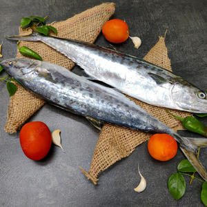 เนื้อปลาคิงฟิชแช่แข็งพรีเมียม เนื้อฉ่ำสำหรับผู้ซื้อขายส่งและตลาดโลก - Product Image 4