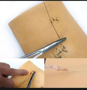 ชุดอุปกรณ์ฝึกเย็บแผลด้วยมือพร้อมแผ่นฝึก - Product Image 3