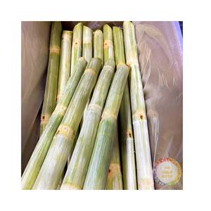 น้ำอ้อยเวียดนามแบบแท่ง ความหวานสูง 22% 100% ธรรมชาติ สดใหม่ ปอกเปลือกและทำความสะอาดแล้ว 10 กก./ถุงสุญญากาศ คุณภาพพรีเมียม จากโรงงาน - Product Image 5