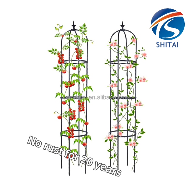 Classic Design Powder Coated Flower Frame Metal Trellis European Style Plant Climbing Frame Decorative Plant Support Frame