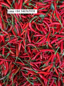 Chili rojo congelado al por mayor/Chiles congelados IQF-Sin conservantes, cosecha fresca, limpiado y empaquetado para mayor comodidad/Sra. Lima - Product Image 6