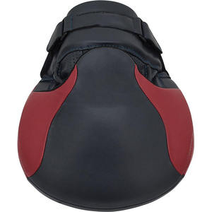 Guantes de Entrenamiento de Boxeo de Cuero de Alta Calidad y Almohadillas de Muay Thai - Colores y Logotipos Personalizables - Product Image 5