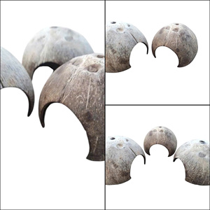 Bois flotté d'aquarium du Vietnam pour crevettes, décoration de réservoir en bois, bois naturel pour poissons d'eau douce, d'eau de mer et d'eau salée - Product Image 4