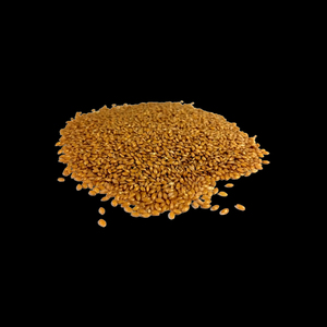 Graines de canaris pures en vrac, disponibles en gros à des prix abordables - Product Image 2