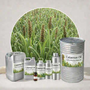 Fabricantes Mayoristas de Aceite de Calamus Destilado al Vapor, Aceite Esencial Natural de Raíz, Grado Aromaterapia, Puro, AG Organica, Proveedores OEM - Product Image 5