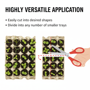 ถาดเพาะกล้าเยื่อกระดาษย่อยสลายได้เป็นมิตรกับสิ่งแวดล้อม เหมาะสำหรับใช้ในบ้าน การเกษตร และป่าไม้ - Product Image 3