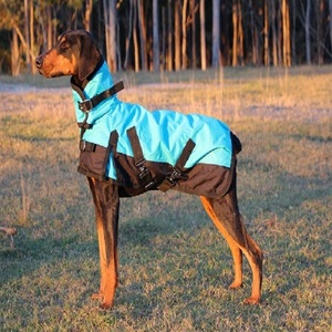 Hot-selling Blank Large Dog Cat Hoodie Customizable Windproof Cartoon Design Warm Cotton Fleece Pet Sweatshirt Birthday - Product Image 5