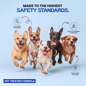 OEM Dog Probiotic Chews with Digestive <b>Enzymes</b> Gut Health Support Gas Relief Stool Balance & Healthy Digestion for All Dogs - Product Image 3