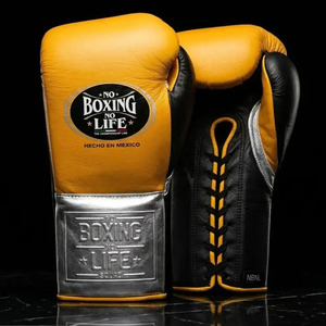 Gants de boxe professionnels sur mesure, faits main, dorés et gris, à lacets, pour l'entraînement et le sparring – Collection « No Boxing No Life » – Vente Flash - Product Image 2