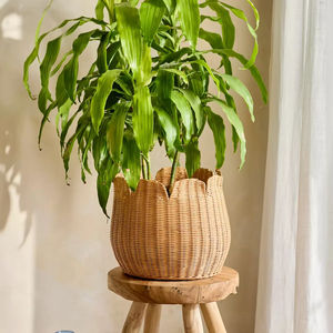 Macetero de ratán tejido, soporte para plantas de ratán natural, soporte para macetas de interior, macetero tejido a mano, soporte de exhibición para el hogar y el jardín - Product Image 3