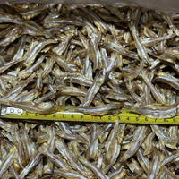 100% petits anchois séchés naturels poisson fruits de mer célèbres du Vietnam forme de pièce conservée au sel/Mme Lima